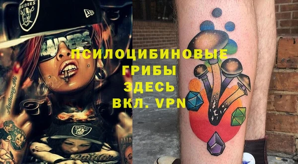 Альфа ПВП Аркадак