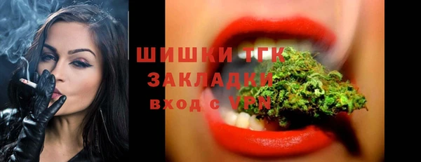 Альфа ПВП Аркадак