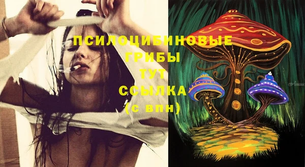 прущая мука Арсеньев
