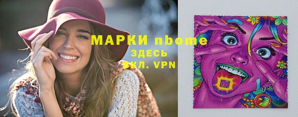 Альфа ПВП Аркадак