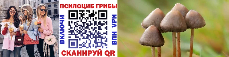 как найти наркотики Пенза Галлюциногенные грибы Magic Shrooms